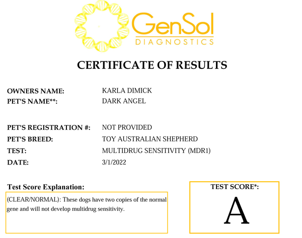 Elmo's Dark Angel @ Shade Tree Aussies MDR1 test result.