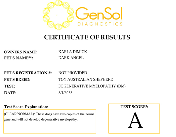 Elmo's Dark Angel @ Shade Tree Aussies DM test result.