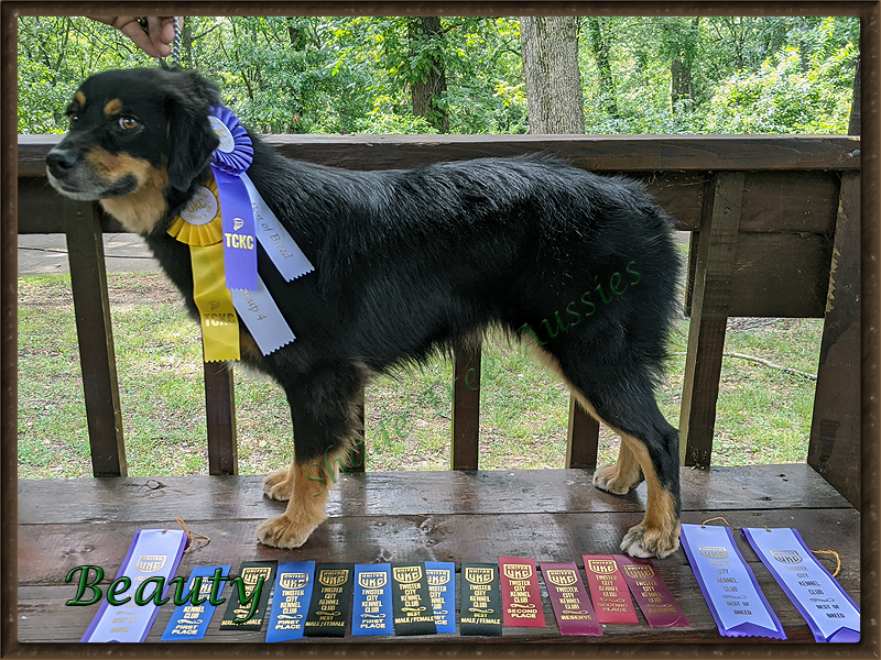 Beauty with her winnings from a 3 day show spring of 2020.