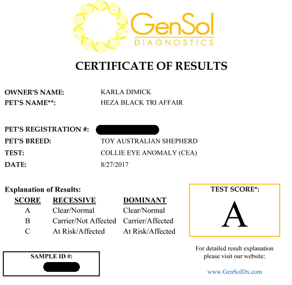 Buddy's CEA test certificate 