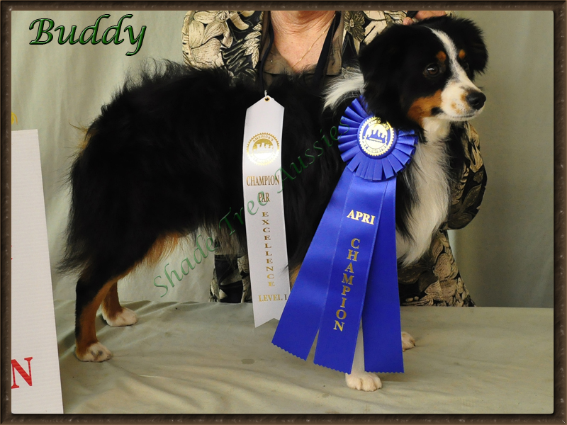 Buddy's win picture as a Champion with APRI