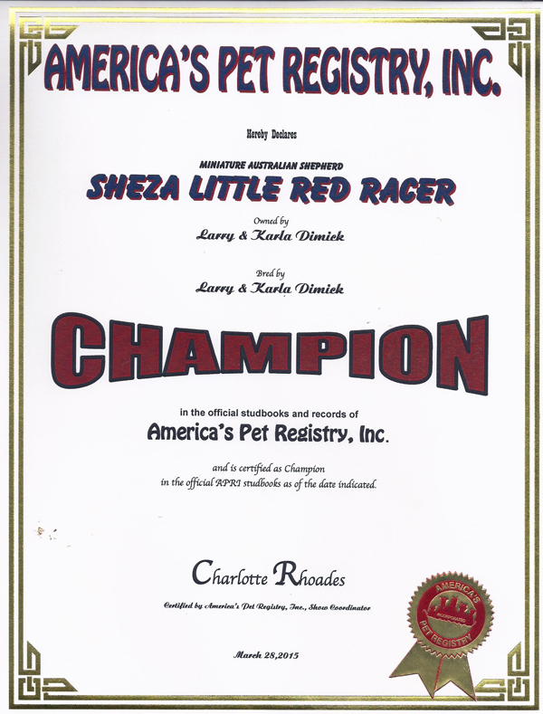 Cindy's APRI Championship title Cindy's APRI Championship title