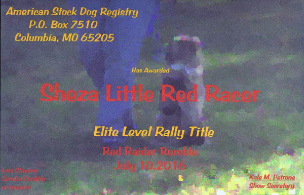 Cindy's ASDR Rally Title. She is up to Elite Rally. Cindy's ASDR Rally Title. She is up to Elite Rally.