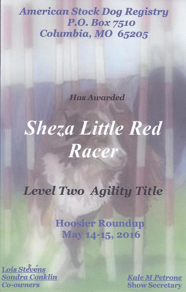 We have not done a lot of Agility with ASDR but she does have a level 2 title. We have not done a lot of Agility with ASDR but she does have a level 2 title.