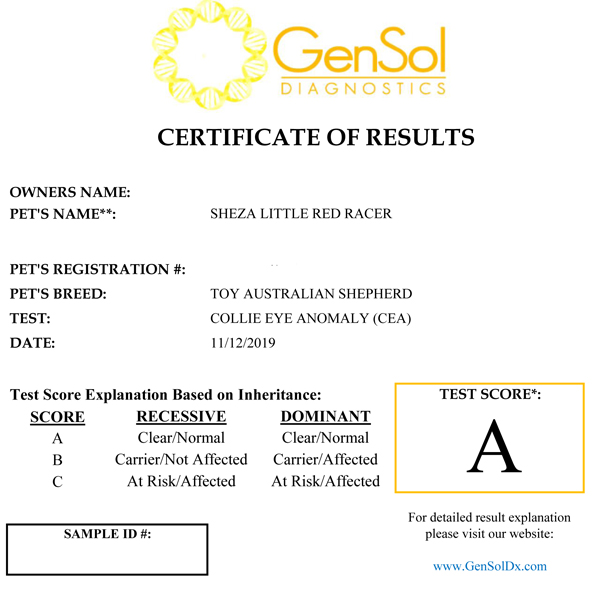 Cindy's CEA test results. Cindy's CEA test results.