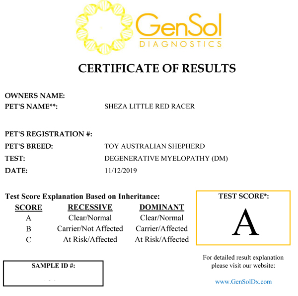 Cindy's DM test results.