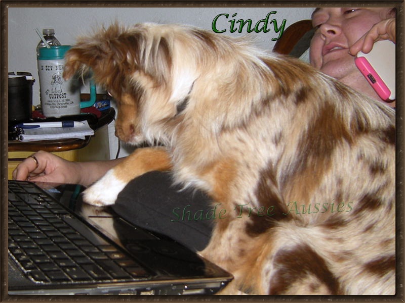 Cindy is always willing to help any human with anything. Cindy is always willing to help any human with anything.