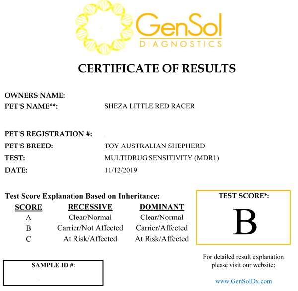 Cindy's MDR1 test results.