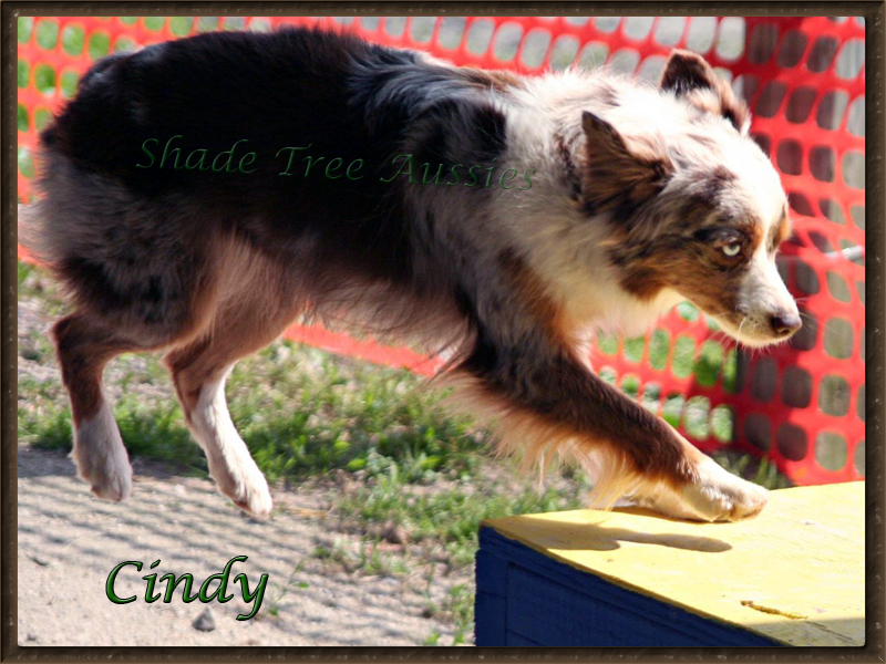 Cindy showing off her skills in Indiana. Cindy showing off her skills in Indiana.