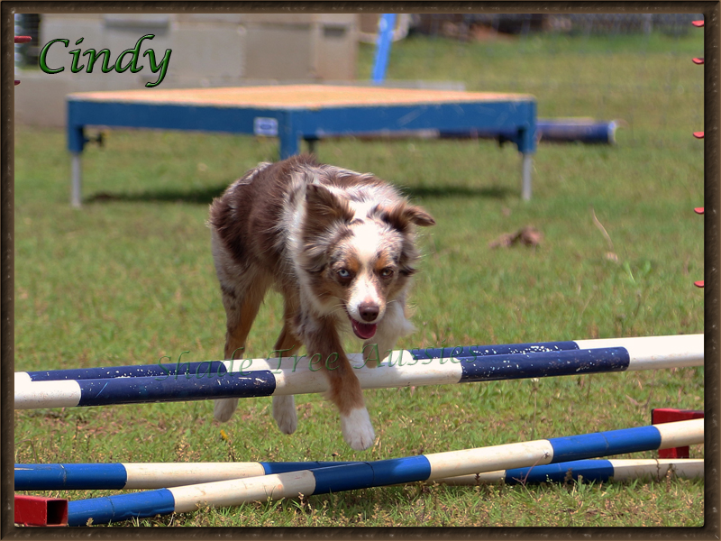 Another view of Cindy showing off at a Show N Go in Edmond Oklahoma