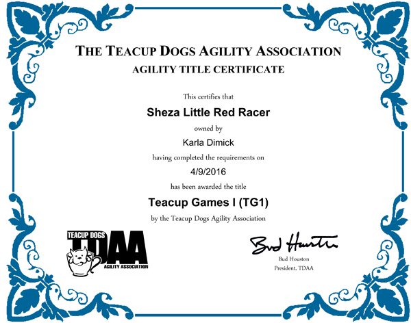 Sheza Little Red Racer Teacup Dog Agility Games Title Sheza Little Red Racer Teacup Dog Agility Games Title