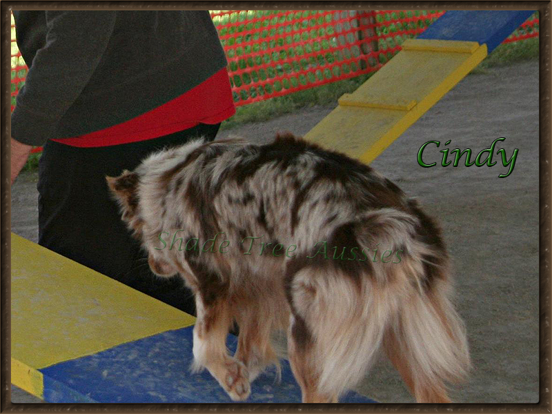 Cindy is small enough that she has to wait for the teeter to go down. Cindy is small enough that she has to wait for the teeter to go down.