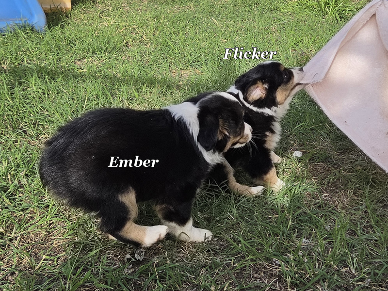 The littlest one was the fastest one that time.