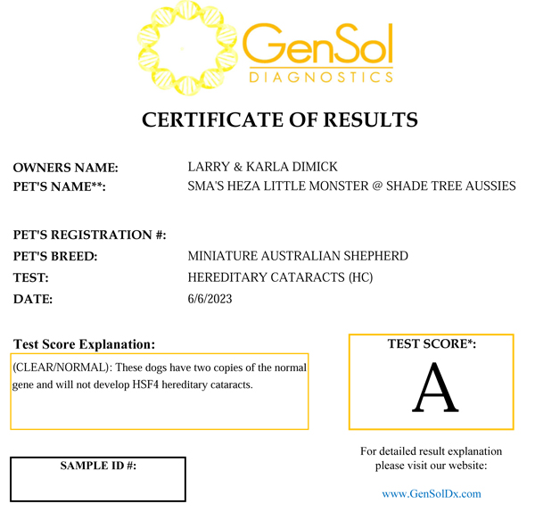 SMA's Heza Little Monster @ Shade Tree Aussies HC test results.