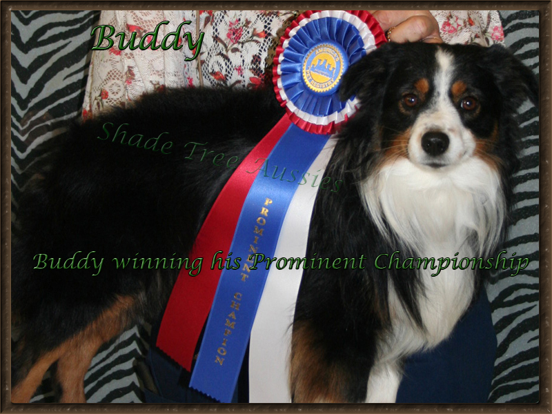 Buddy winning his Prominent Championship with APRI 