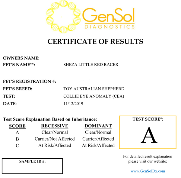 Cindy's CEA test results.
