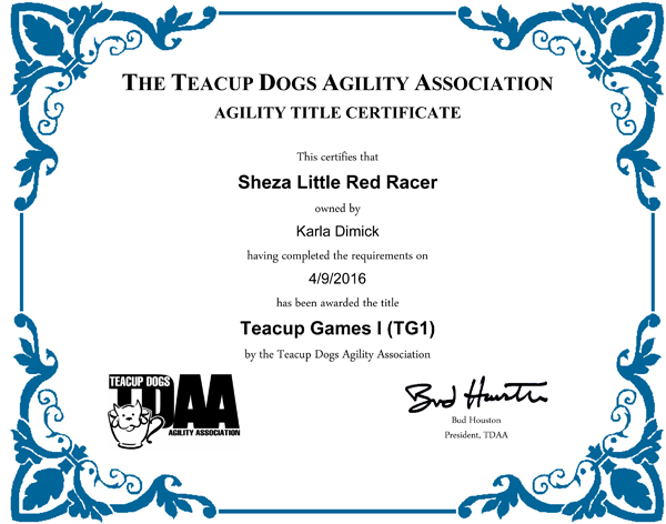 Sheza Little Red Racer Teacup Dog Agility Games Title
