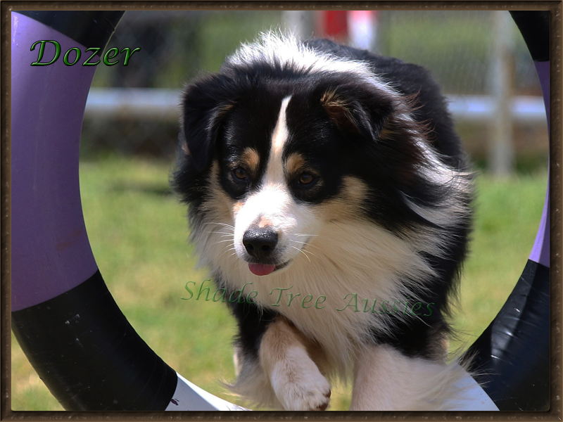 Dozer through the tire jump.