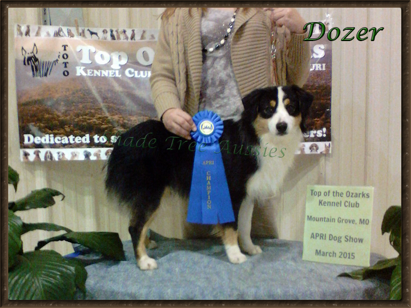 Dozer's first show.