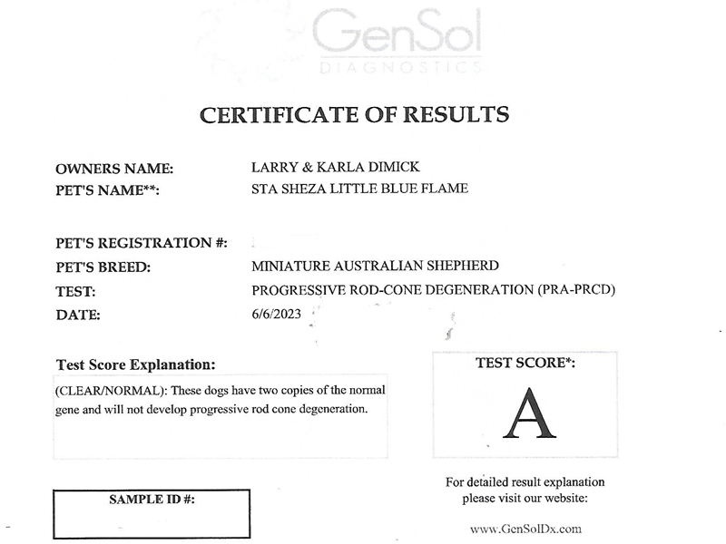 Flame is clear for Progressive Rod - Cone Degeneration.