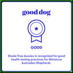 Good dog breeder badge for good health texting practices.