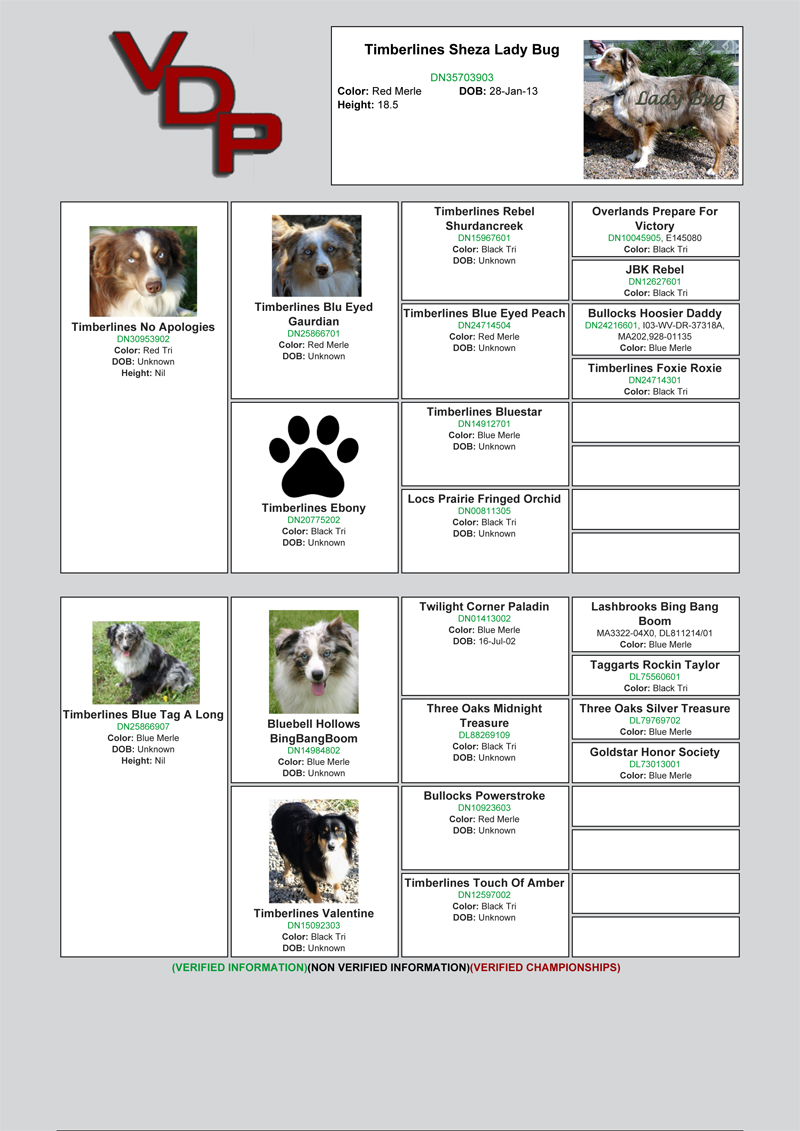 Timberlines Sheza Lady Bug pedigree from Verified Dog Pedigrees.