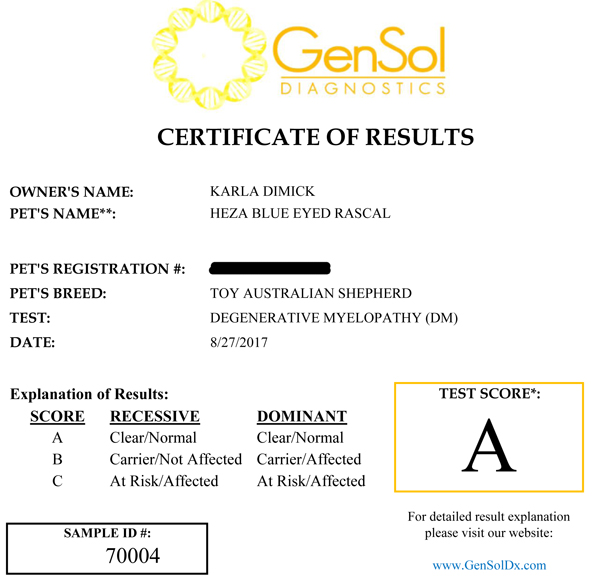 Rascal's test results for DM - Degenerative Myelopathy