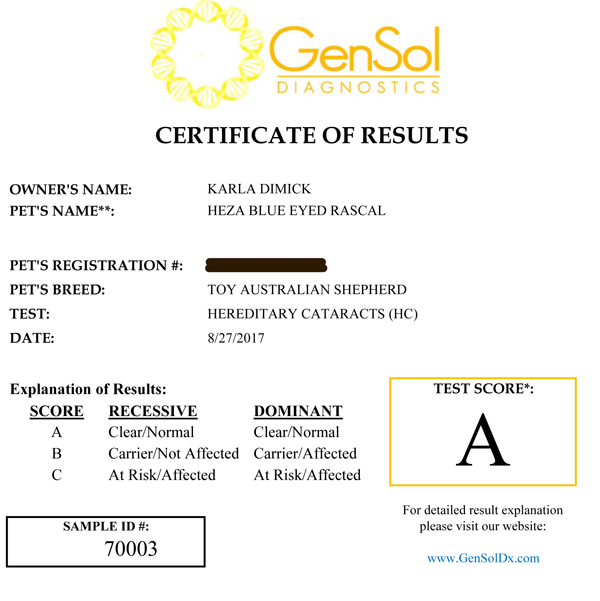 Rascal's testing for HC = Hereditary Cataracts 