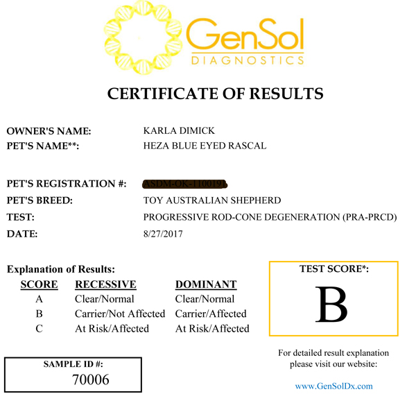 Rascal's test results for PRA = Progressive Retinal Atrophy