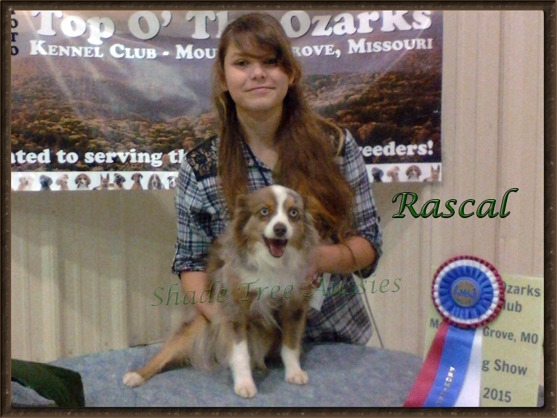 Rascal and Lilly showing off Rascal's new title as a Prominent Champion.