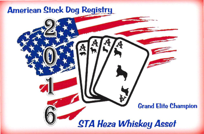Whiskey's ASDR Grand Elite Title Whiskey's ASDR Grand Elite Title