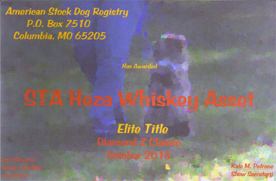 Whiskey's ASDR Rally Elite Title Certificate Whiskey's ASDR Rally Elite Title Certificate