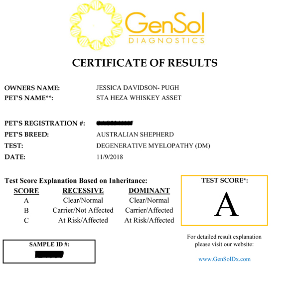 Whiskey's test certificate for DM