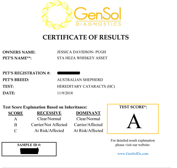 Whiskey's test certificate for HC Whiskey's test certificate for HC